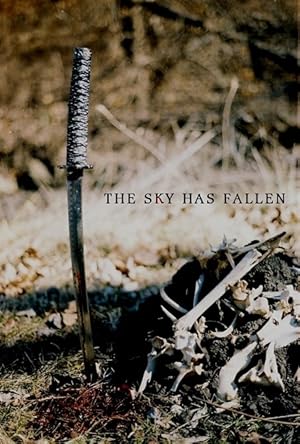 The Sky Has Fallen