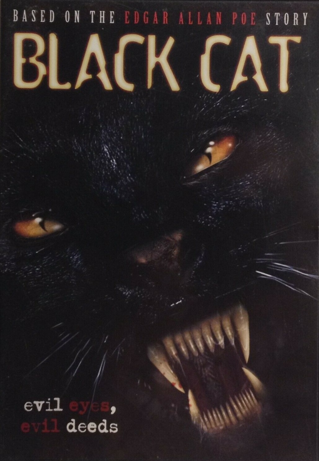 Black Cat