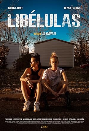 Libelulas