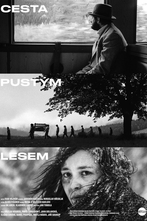Cesta pustym lesem