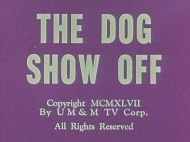 Dog-Showoff