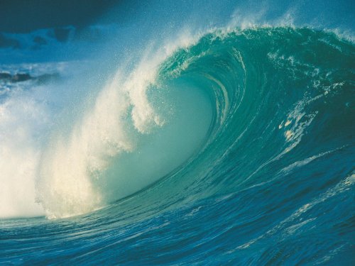 The Quest for Noah's Flood