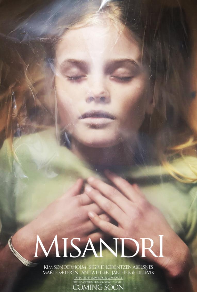 Misandri