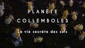 Planete collemboles: la vie secrete des sols