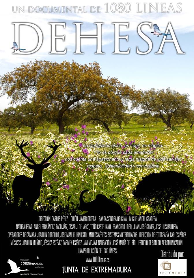 Dehesa - L'harmonie iberique