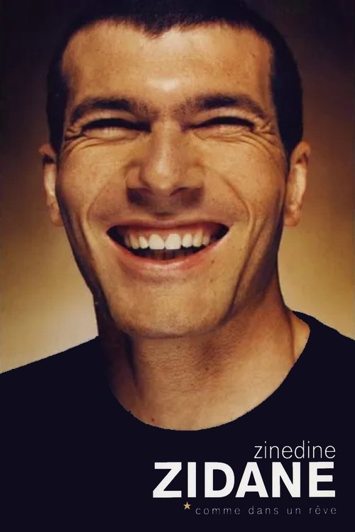 Zinedine Zidane. Like in a Dream