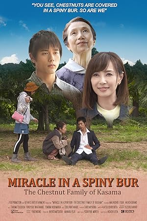 Miracle in a Spiny Bur: The Chestnut Family of Kasama