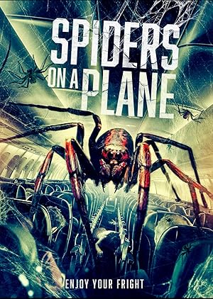 Spiders on a Plane