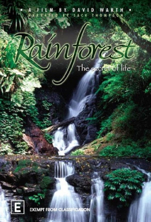 Rainforest: The Secret of Life