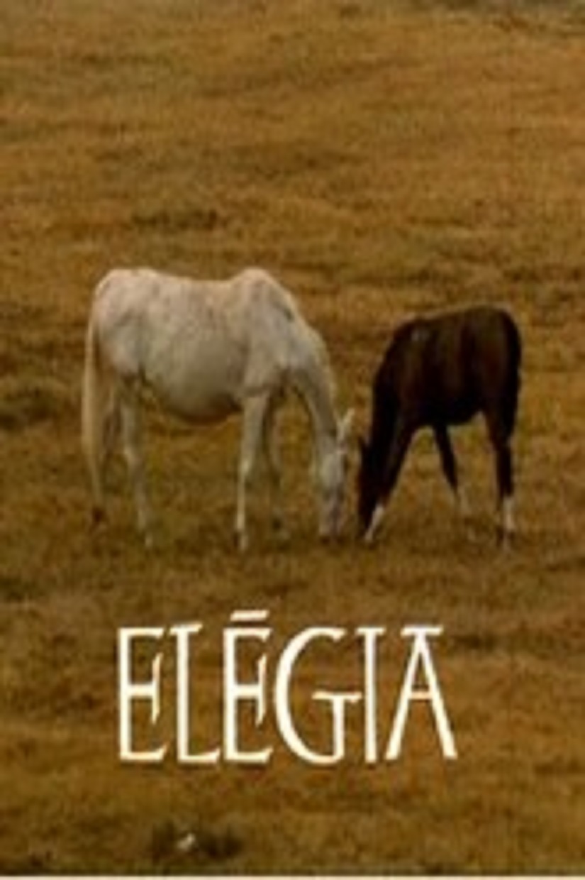 Elegy
