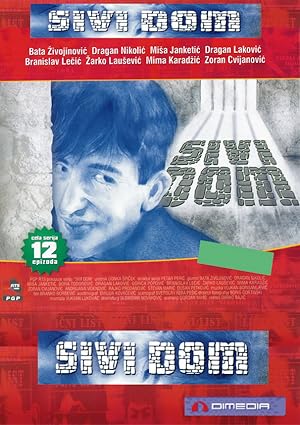 Sivi Dom