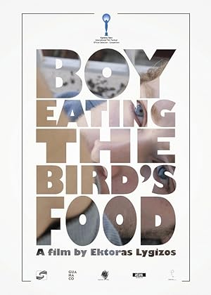 Boy Eating the Bird's Food