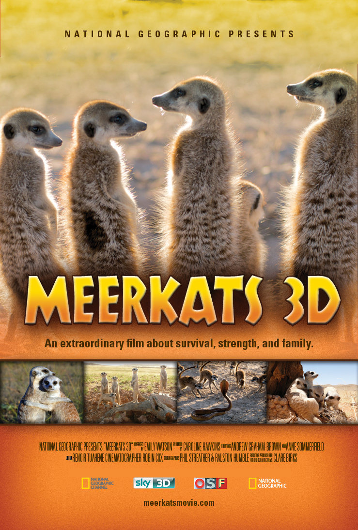 Meerkats