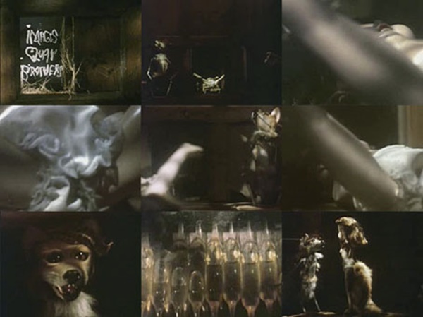 Stille Nacht V: Dog Door