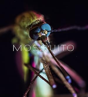 Mosquito