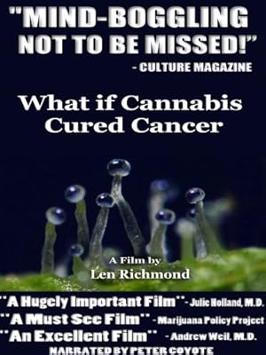What If Cannabis Cured Cancer