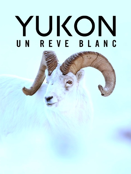 Yukon - Un reve blanc