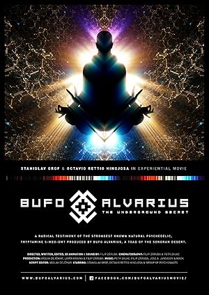Bufo Alvarius: The Underground Secret