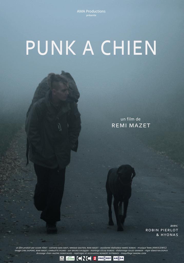 Punk a chien
