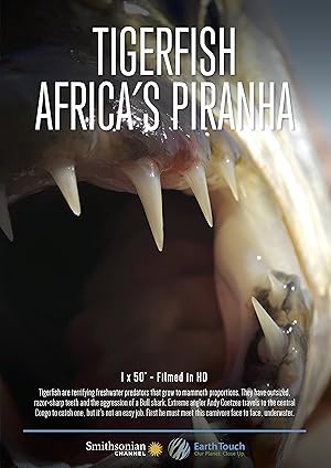 Tigerfish
