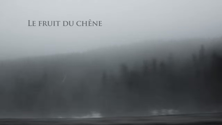 Le fruit du chene: L'homme qui plantait des arbres