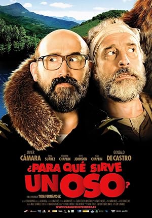 ¿Para que sirve un oso?