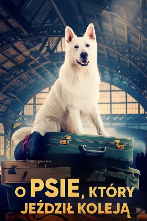 The Dog Who Travelled by Train
