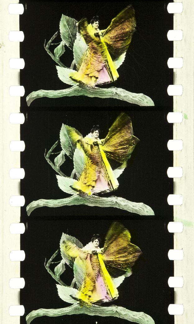 A Butterfly's Changes