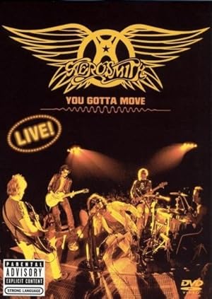 Aerosmith: You Gotta Move