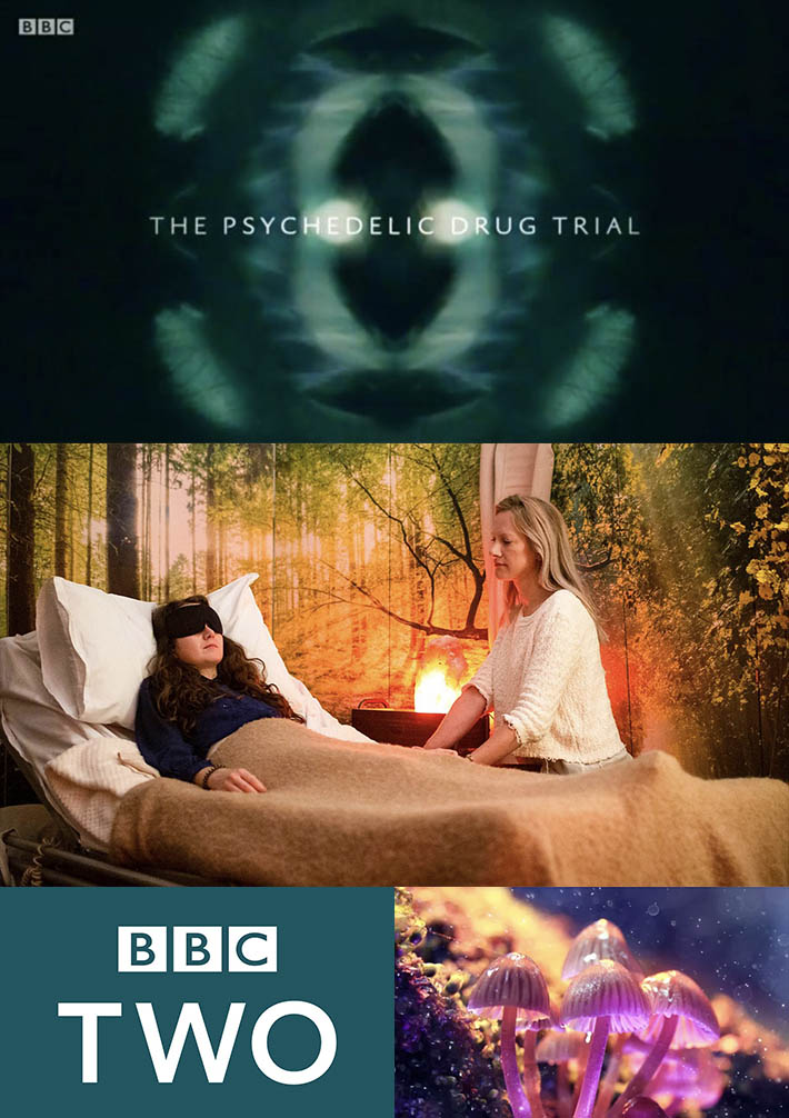 The Psychedelic Drug Trial