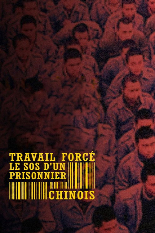 Travail force, le SOS d'un prisonnier chinois
