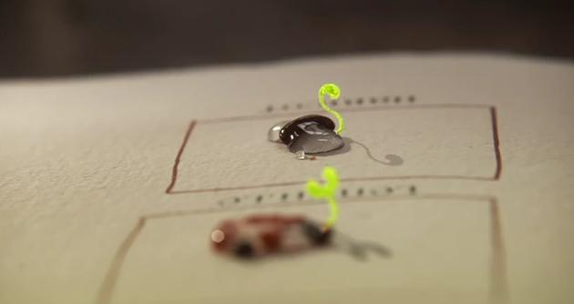 Les 4 saisons d'Antoine