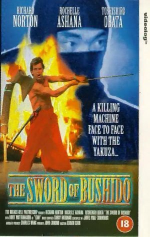 American Ninja Fighter