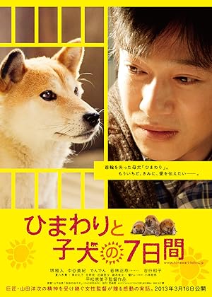 Seven Days of Himawari and Her Puppies