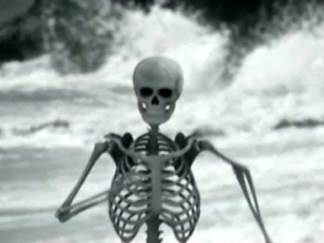 The Killers: Bones