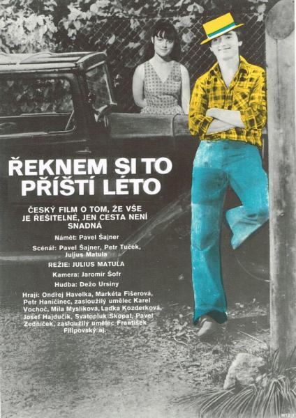 Reknem si to pristi leto