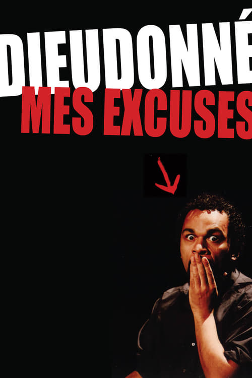 Dieudonne: Mes excuses