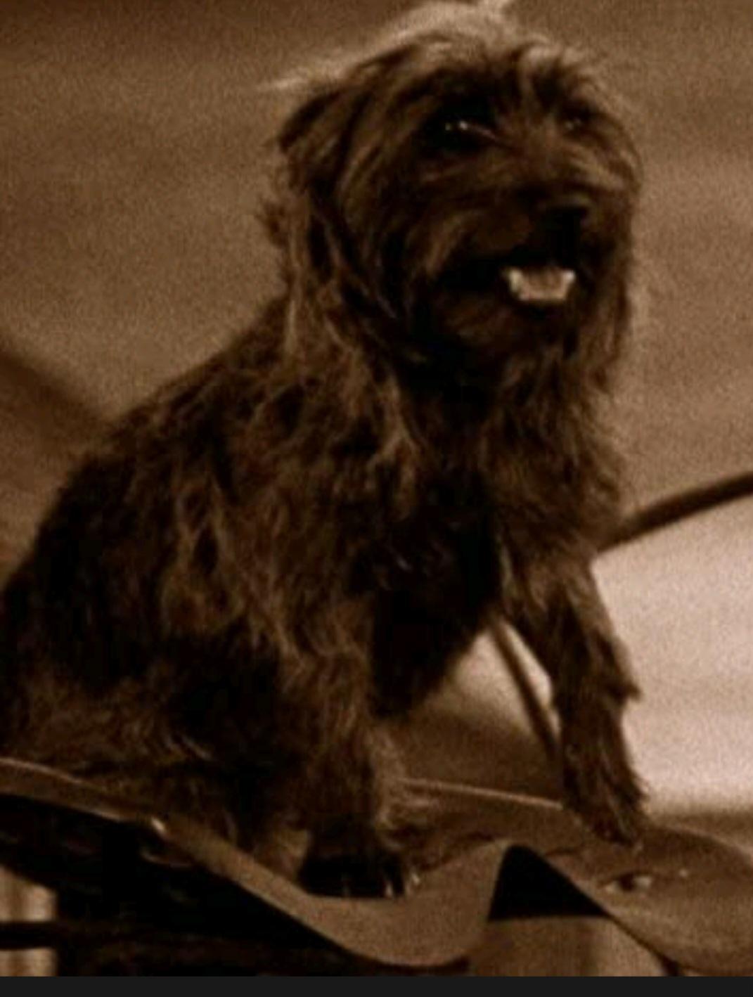 Toto