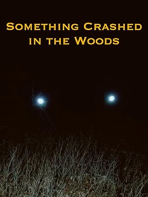 Something Crashed in the Woods