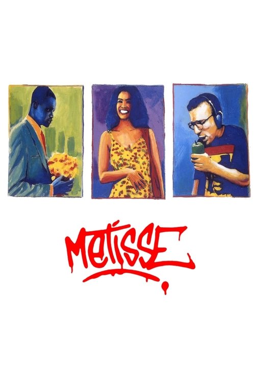 Metisse