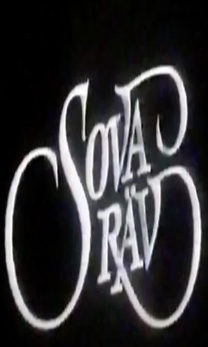 Sova rav