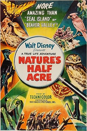 A True-Life Adventure: Nature's Half Acre