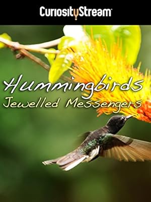 Hummingbirds: Jewelled Messengers