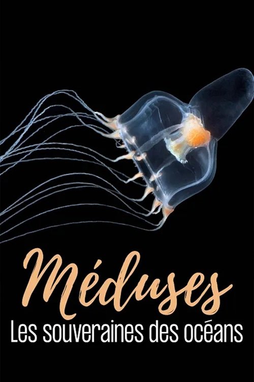 Meduses - Les souveraines des oceans