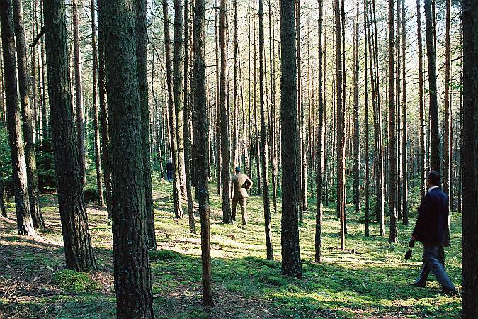 Katyn Forest