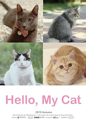 Hello, My Cat