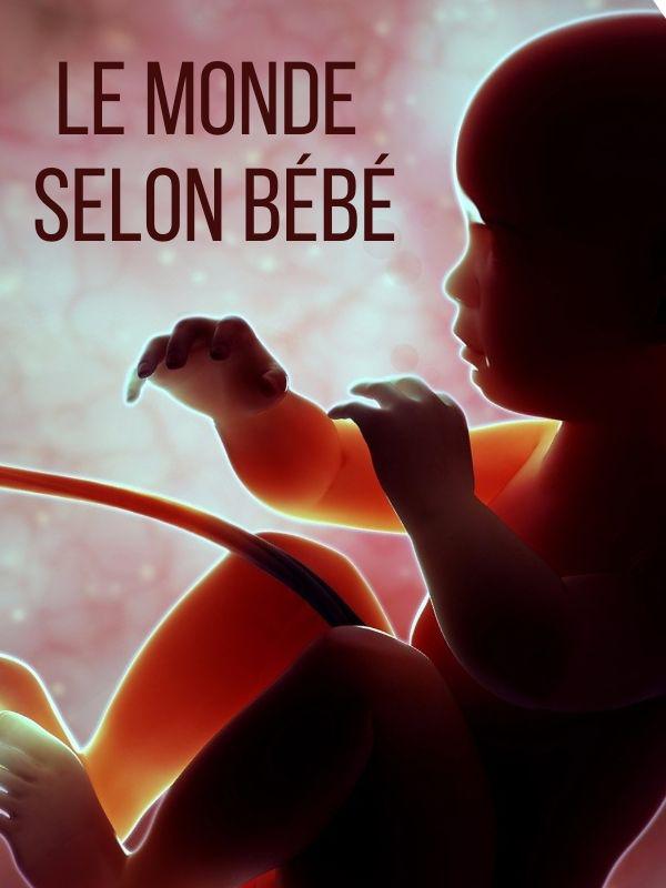 Le monde selon bebe