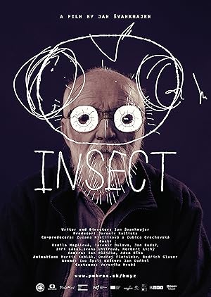 Insect