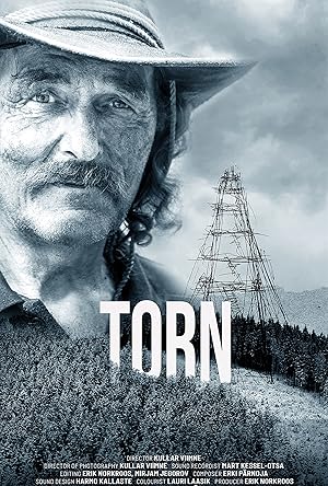 Torn
