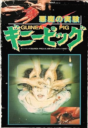 Guinea Pig 1
